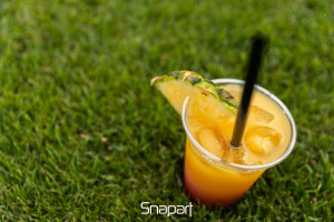 Street Food - Egapark 2018